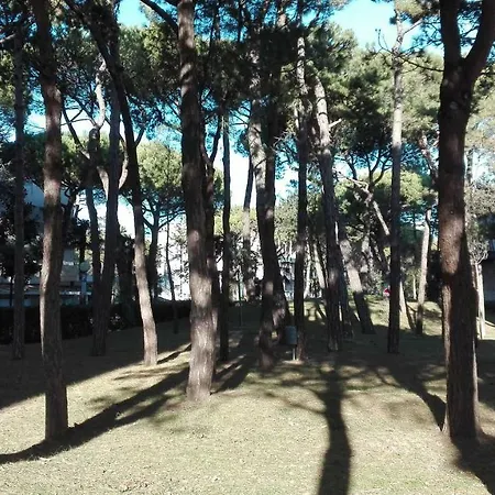Picco Dell'adriatico